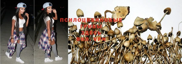 твердый Баксан