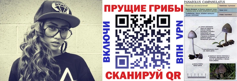 Галлюциногенные грибы GOLDEN TEACHER  сколько стоит  Учалы 